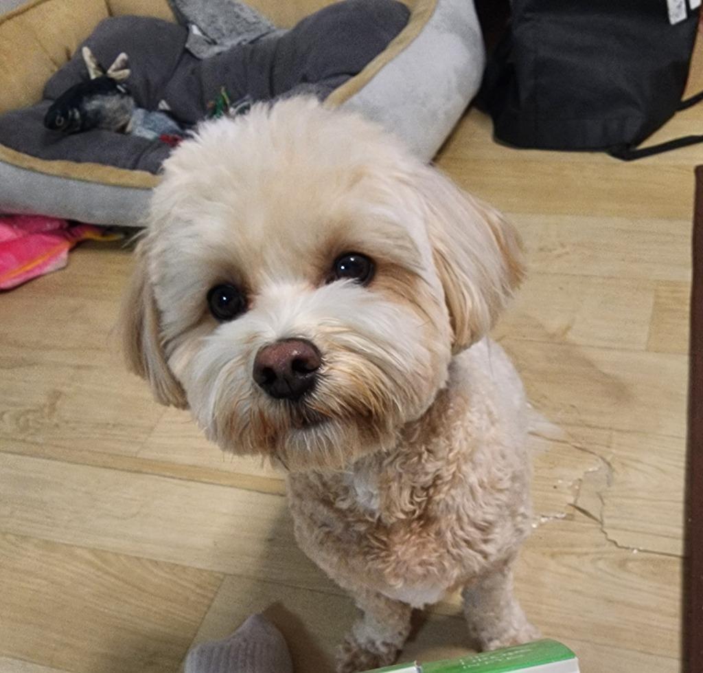 프로필 이미지