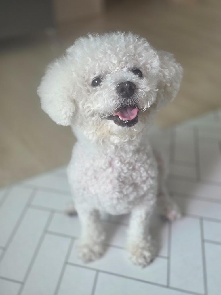 프로필 이미지