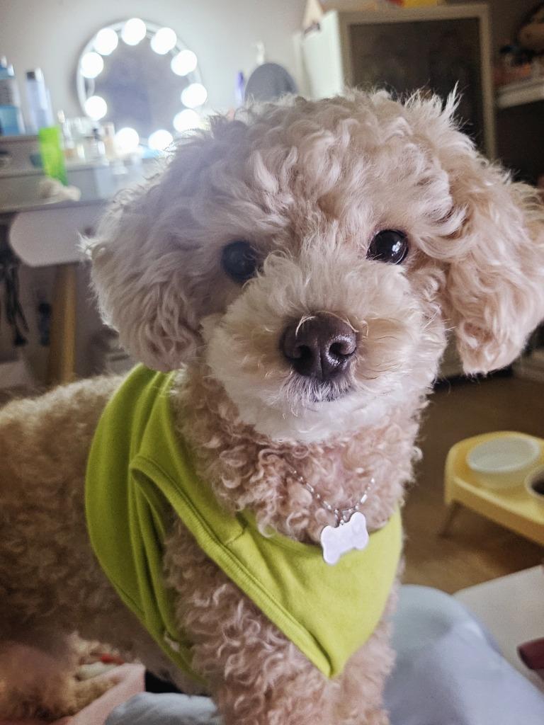 프로필 이미지