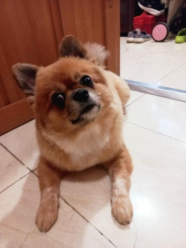 프로필 이미지