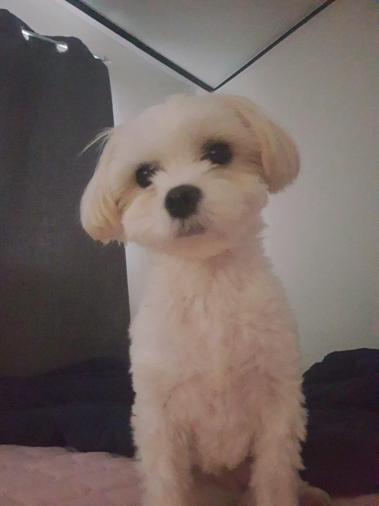 프로필 이미지