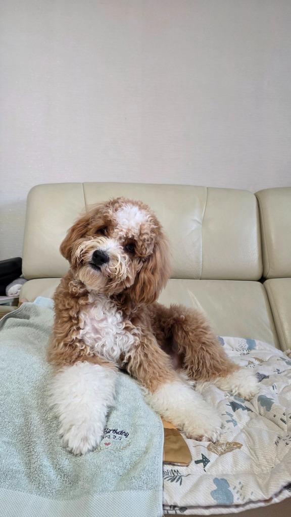 프로필 이미지