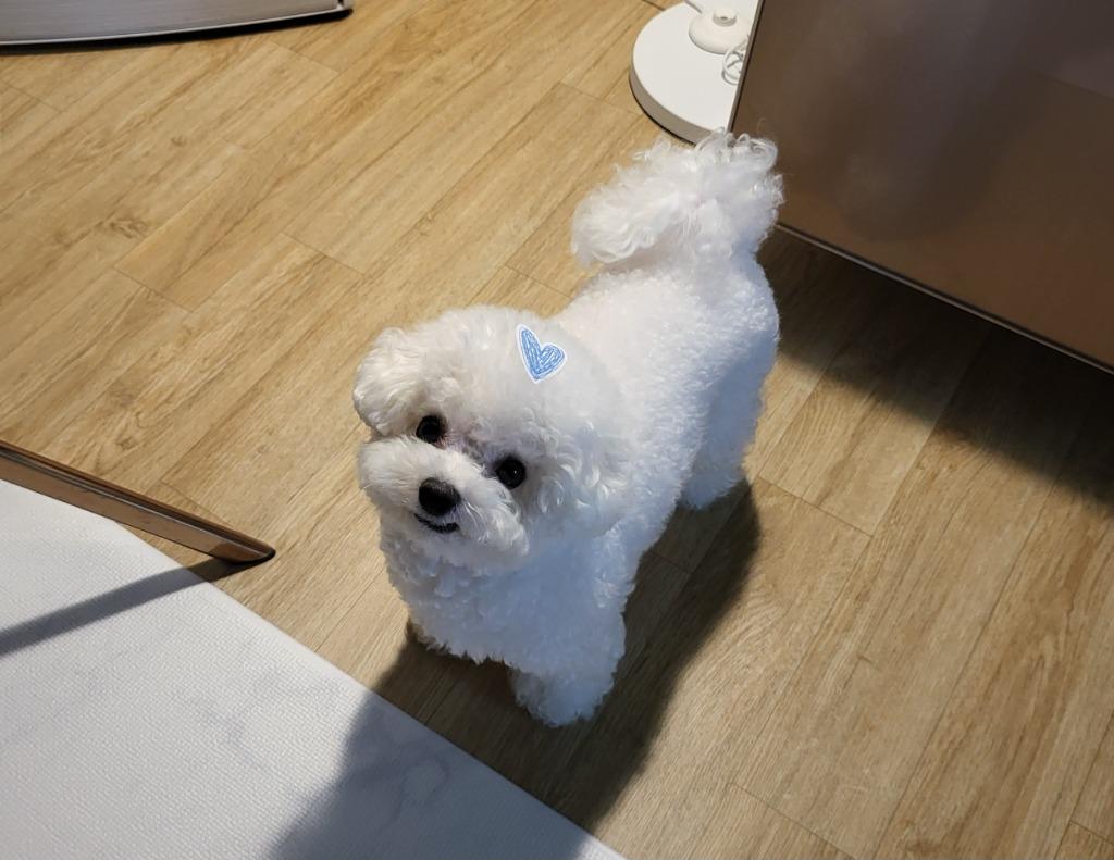 프로필 이미지