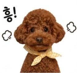 프로필 이미지
