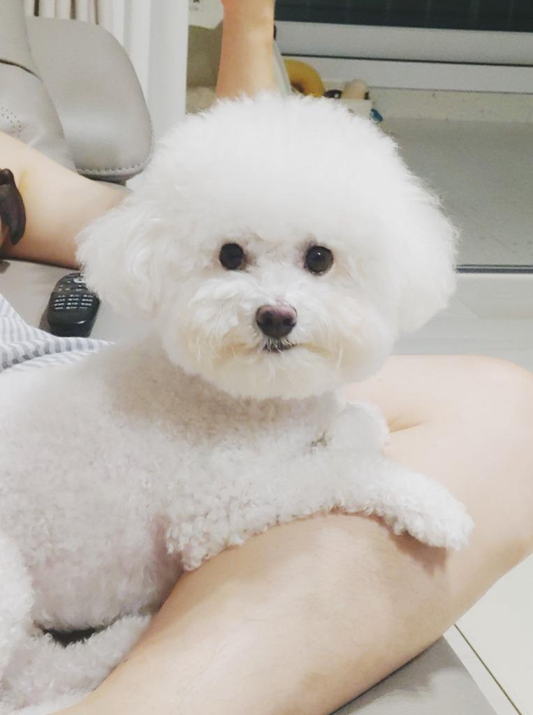 프로필 이미지