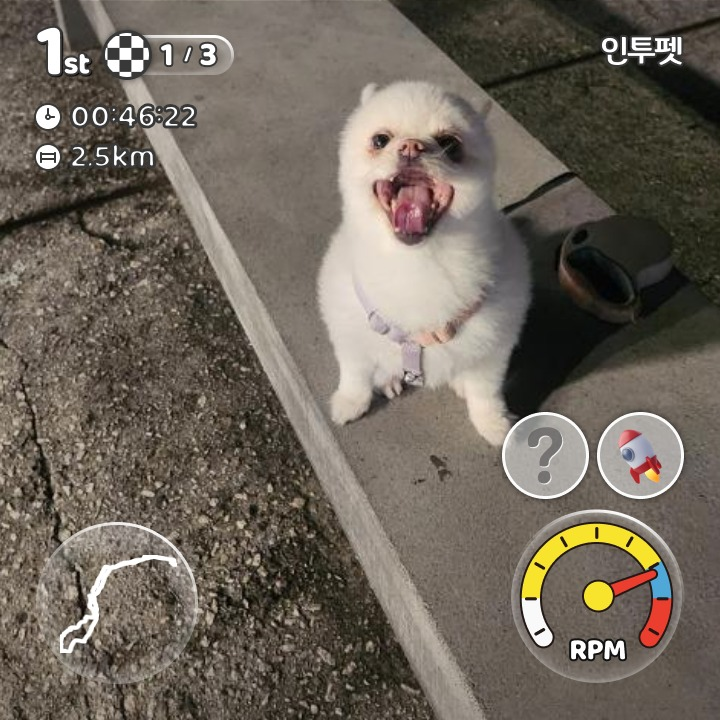 이미지
