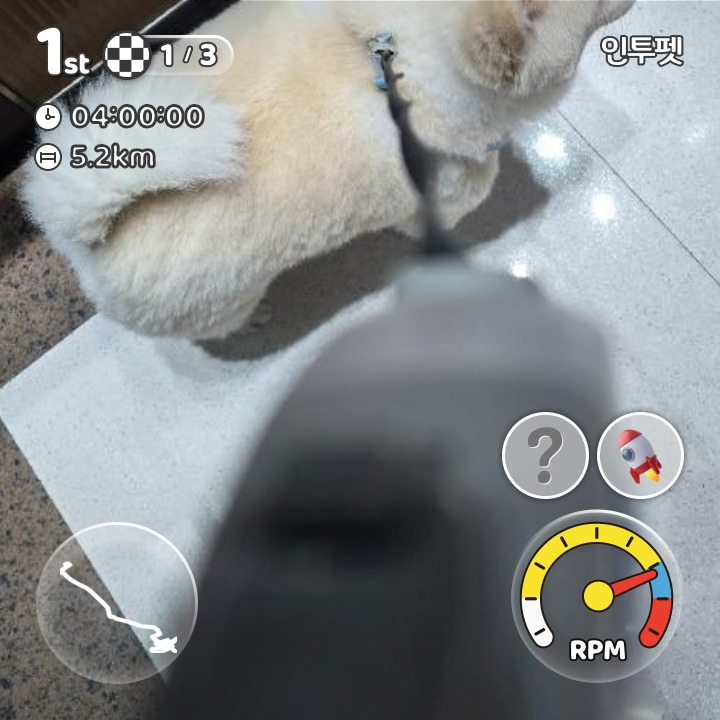 이미지