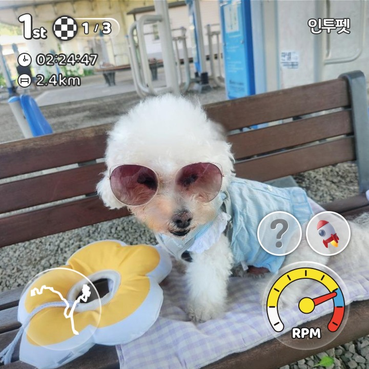 이미지