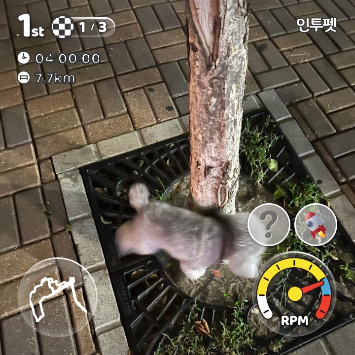 이미지