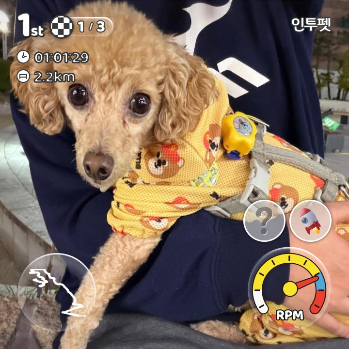 이미지
