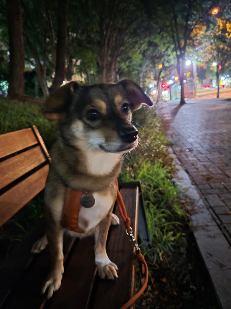 이미지
