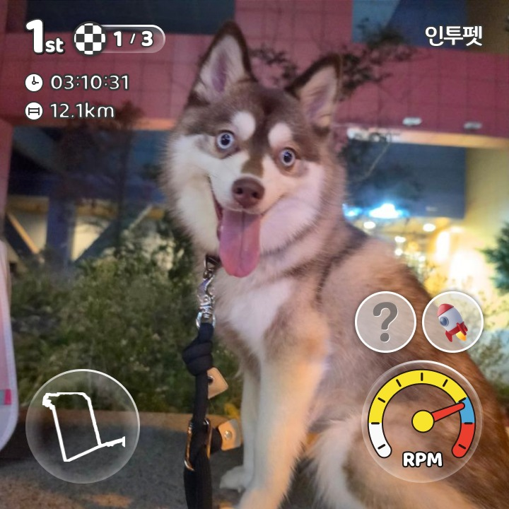 이미지