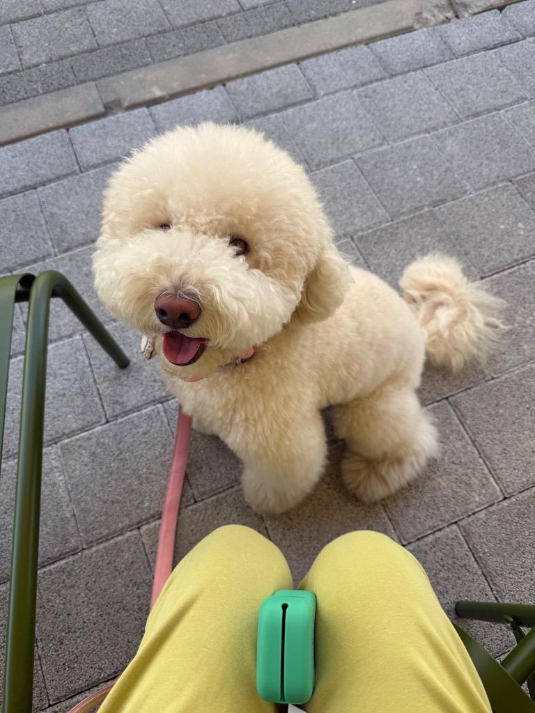 이미지