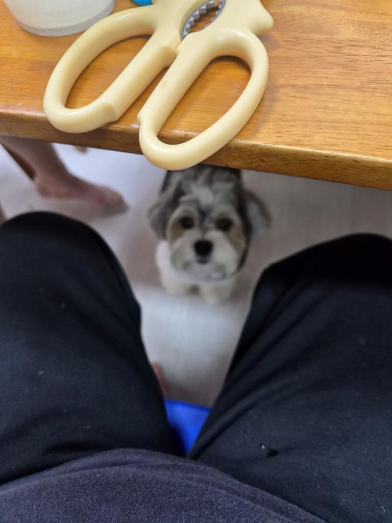 이미지