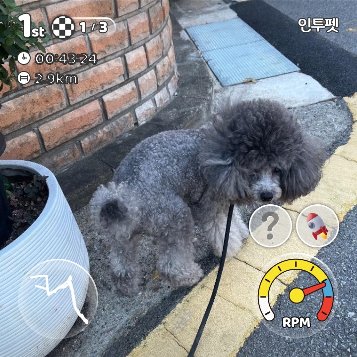 이미지