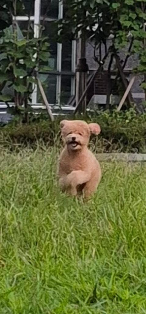 이미지