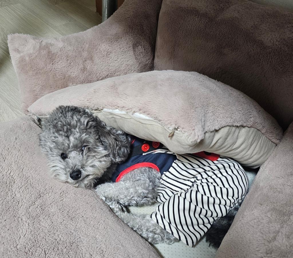 이미지