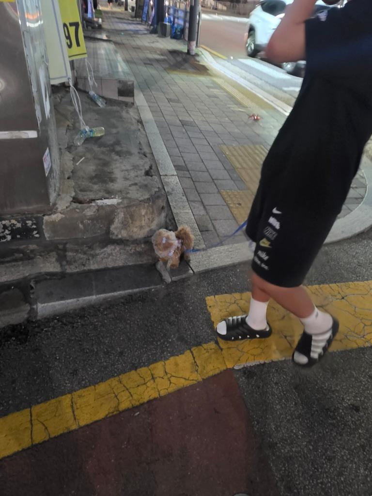 이미지