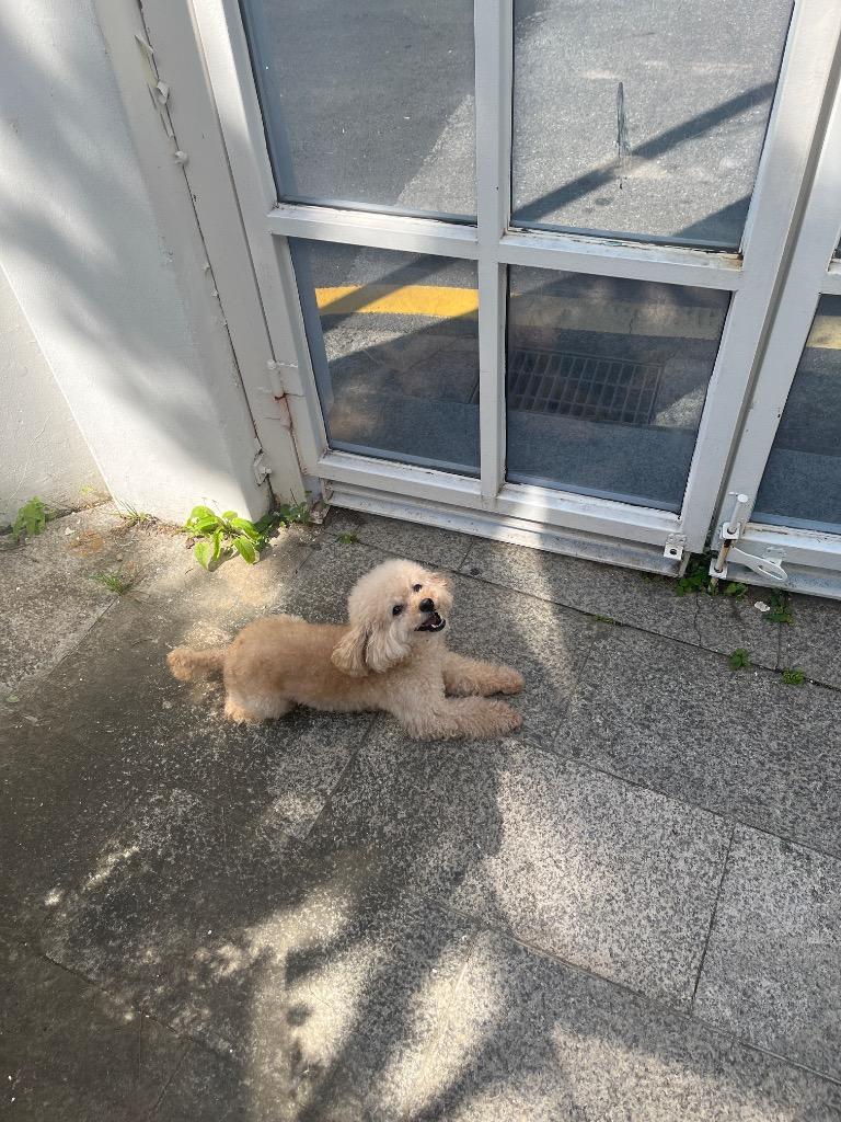 이미지