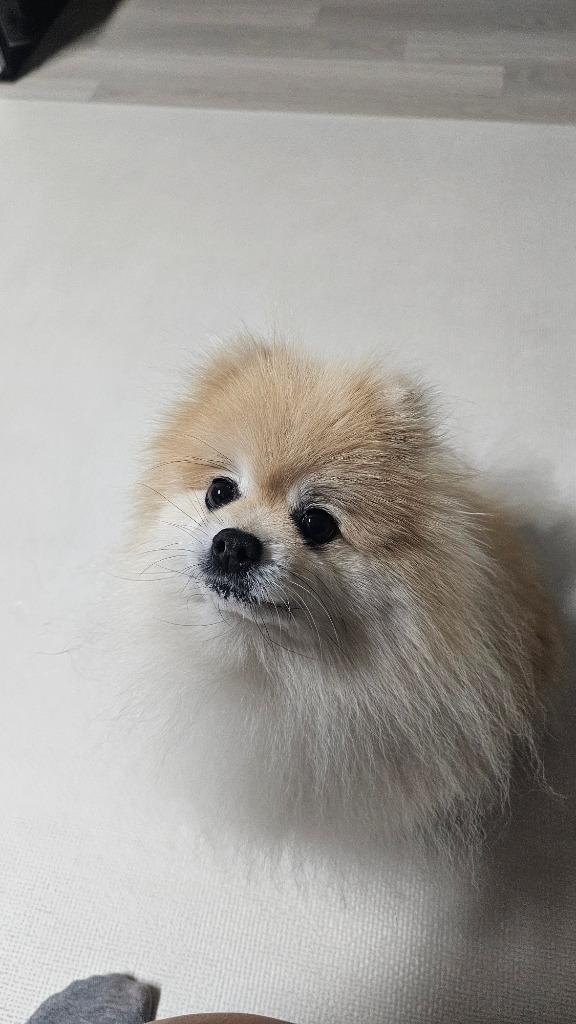이미지